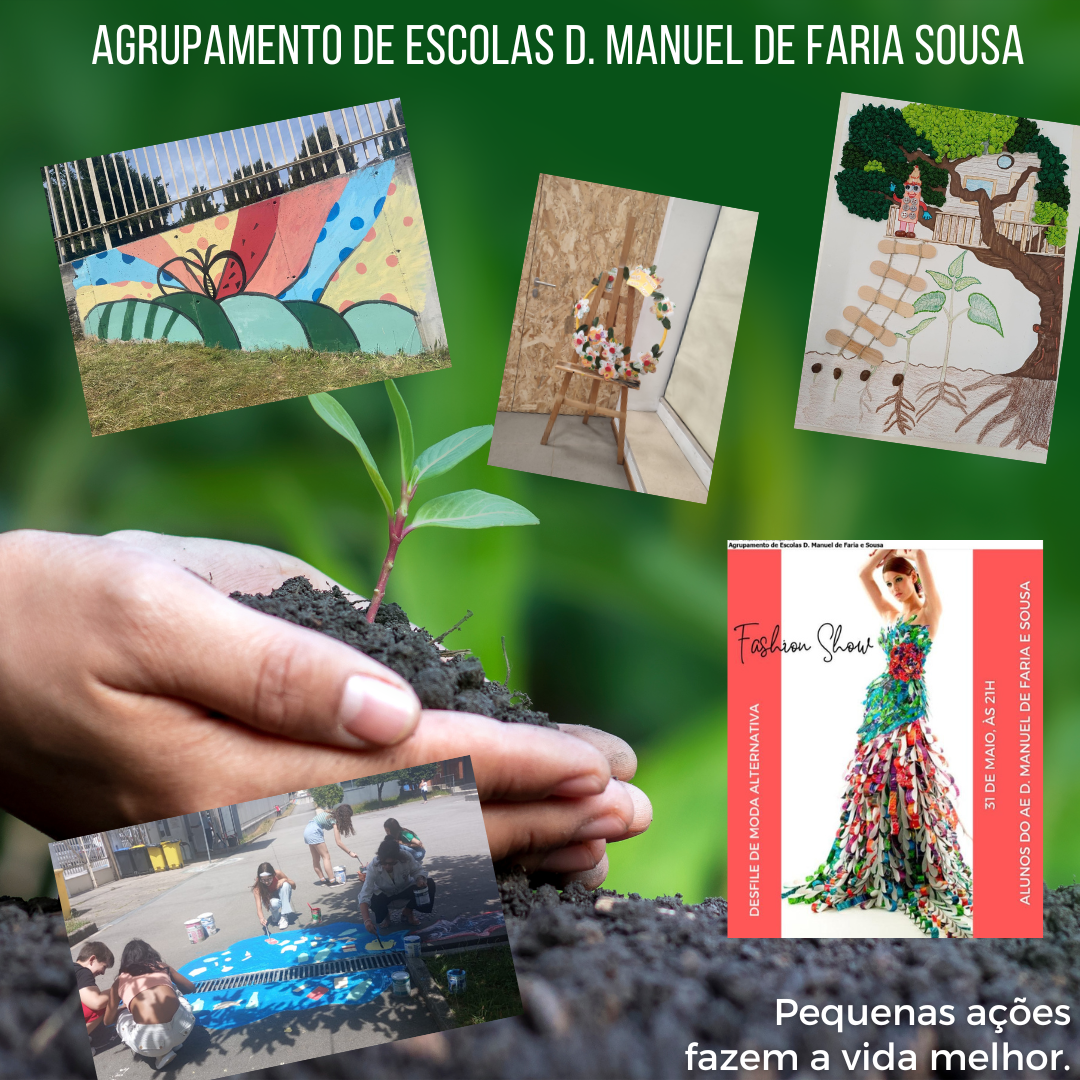 Atividades do Clube do Ambiente